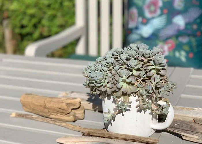 Nostalgie- Obsthof Steffelin Markdorf